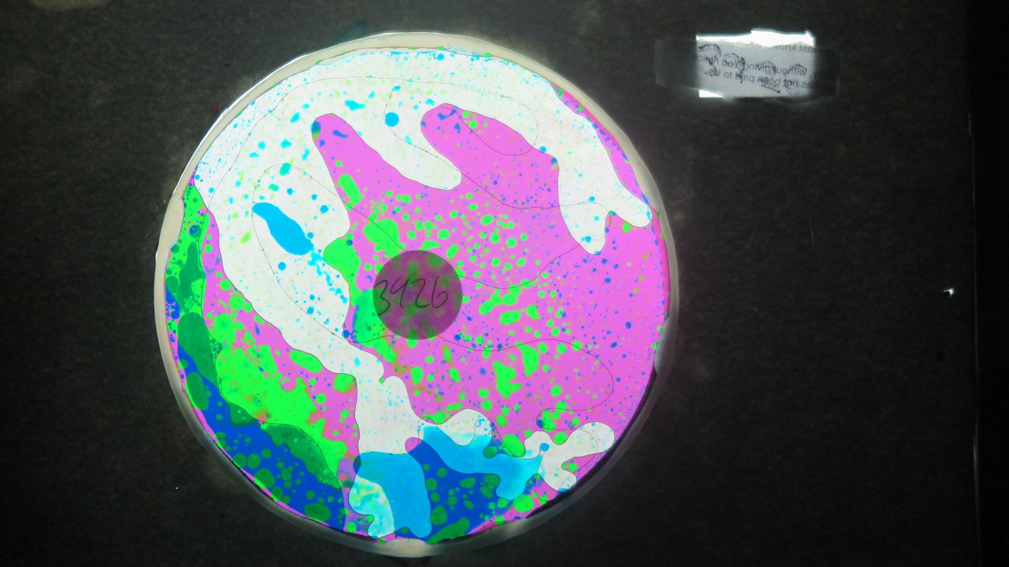 BV3926 bubble vision oil wheel